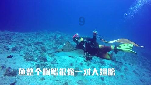 摄影教程：单反相机原理与组成，学习摄影就要先从认识单反开始游戏画面